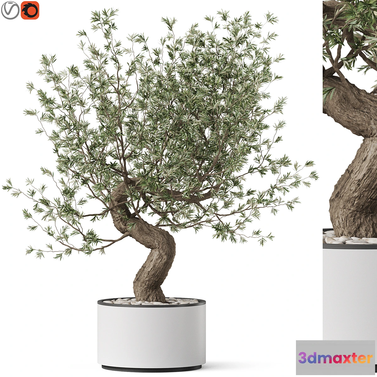 687716 - Plants collection 884