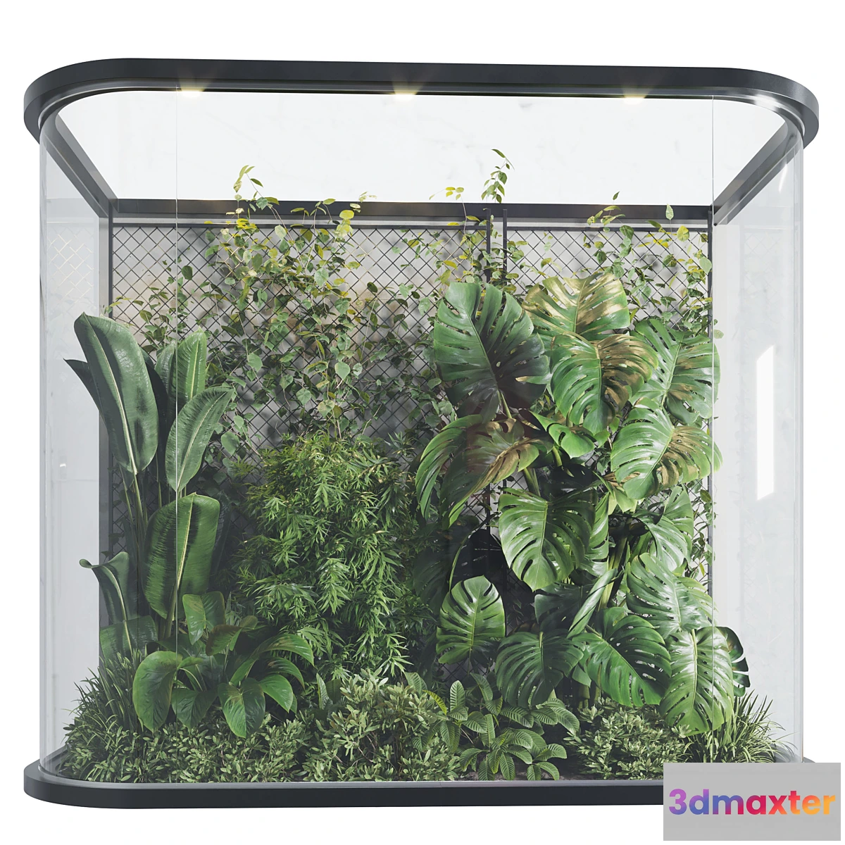 687718 - Plants Behind Galss 03 - indoor garden