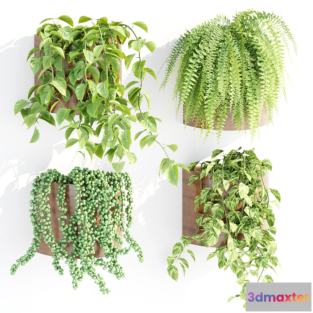 687724 - Wall hanging plants collection vol 206