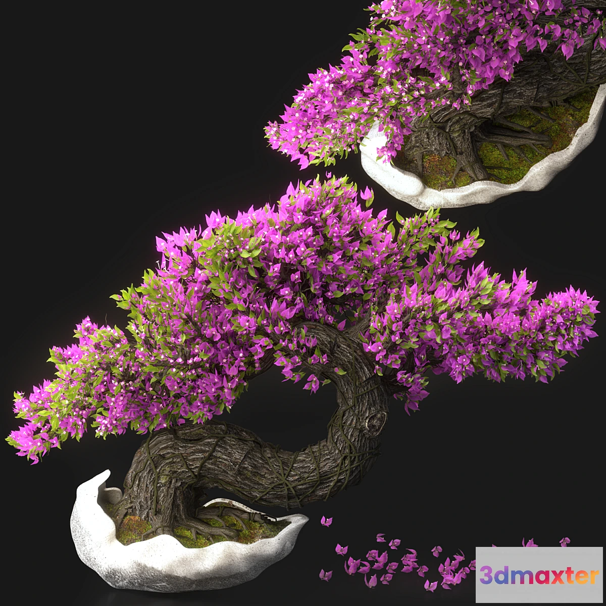687728 - Bonsai Flower Set-13