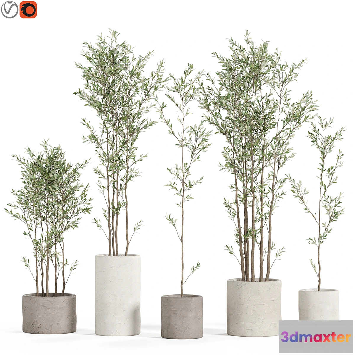 687736 - Plants collection 949