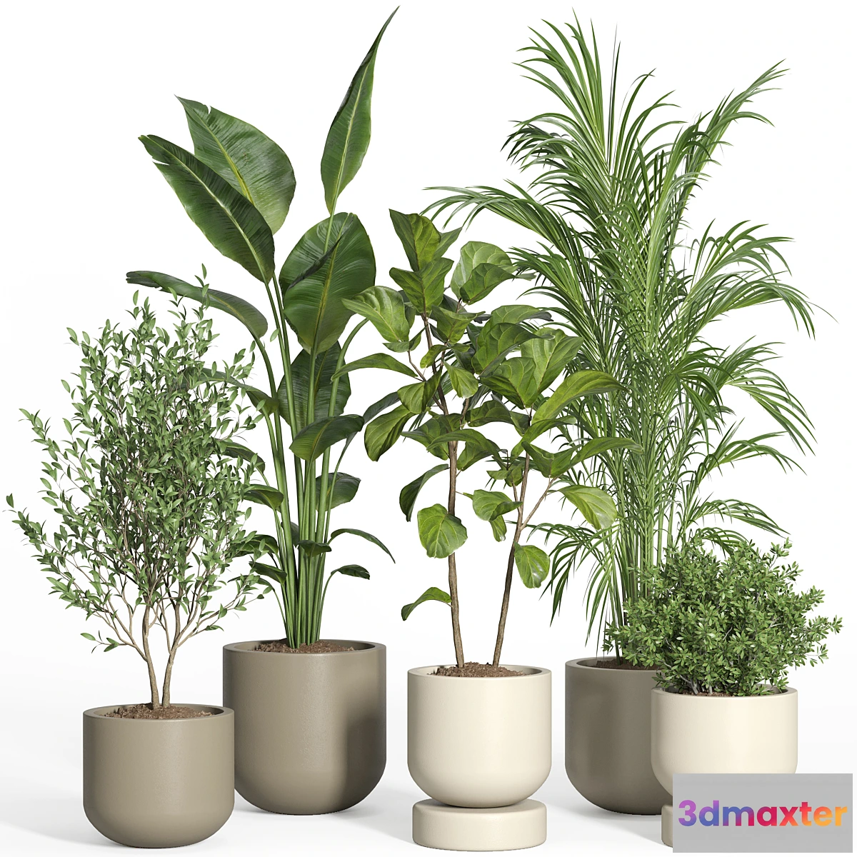 687738 - indoor plant set 47