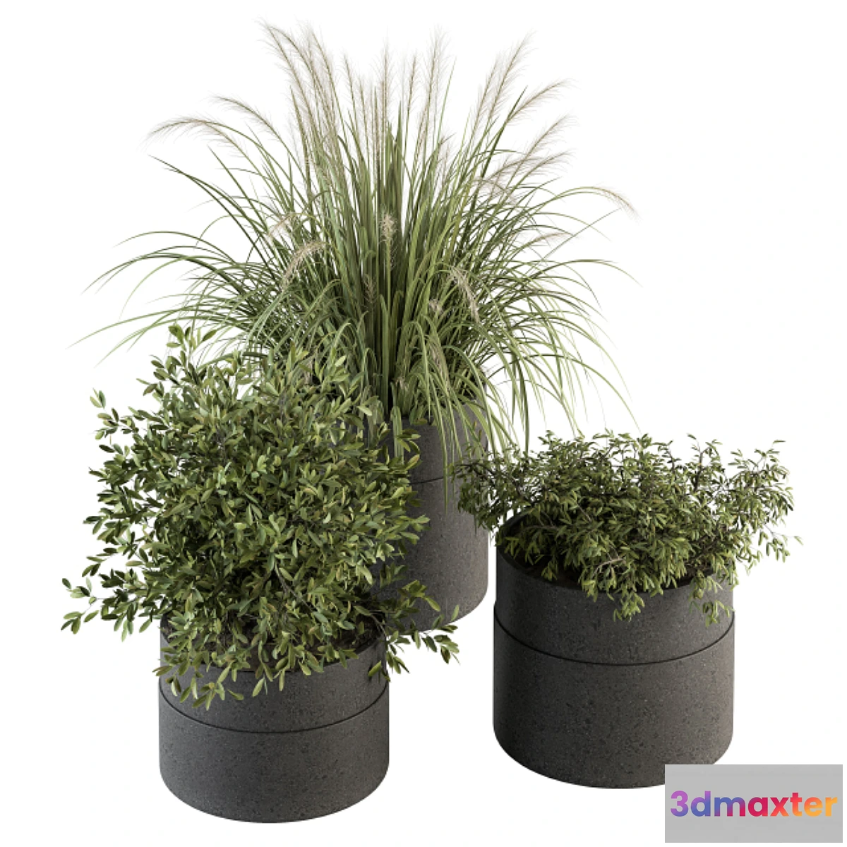 687740 - indoor Plant Set 250 - Plants Set in Pot