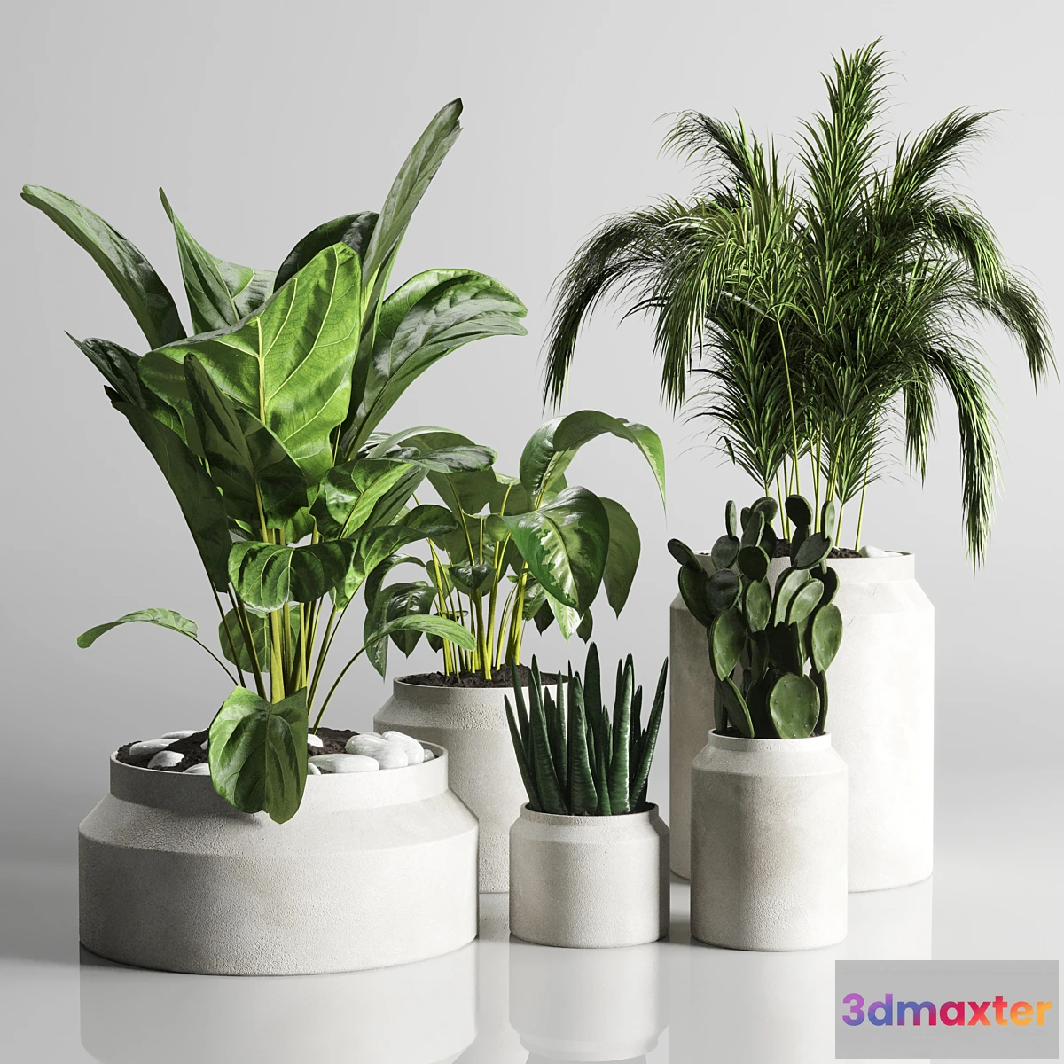 687764 - collection Indoor plant 33-concrate vase - No.2