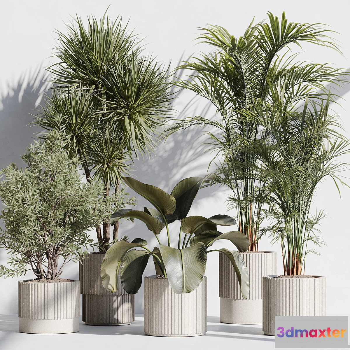 687766 - indoor plant set 72