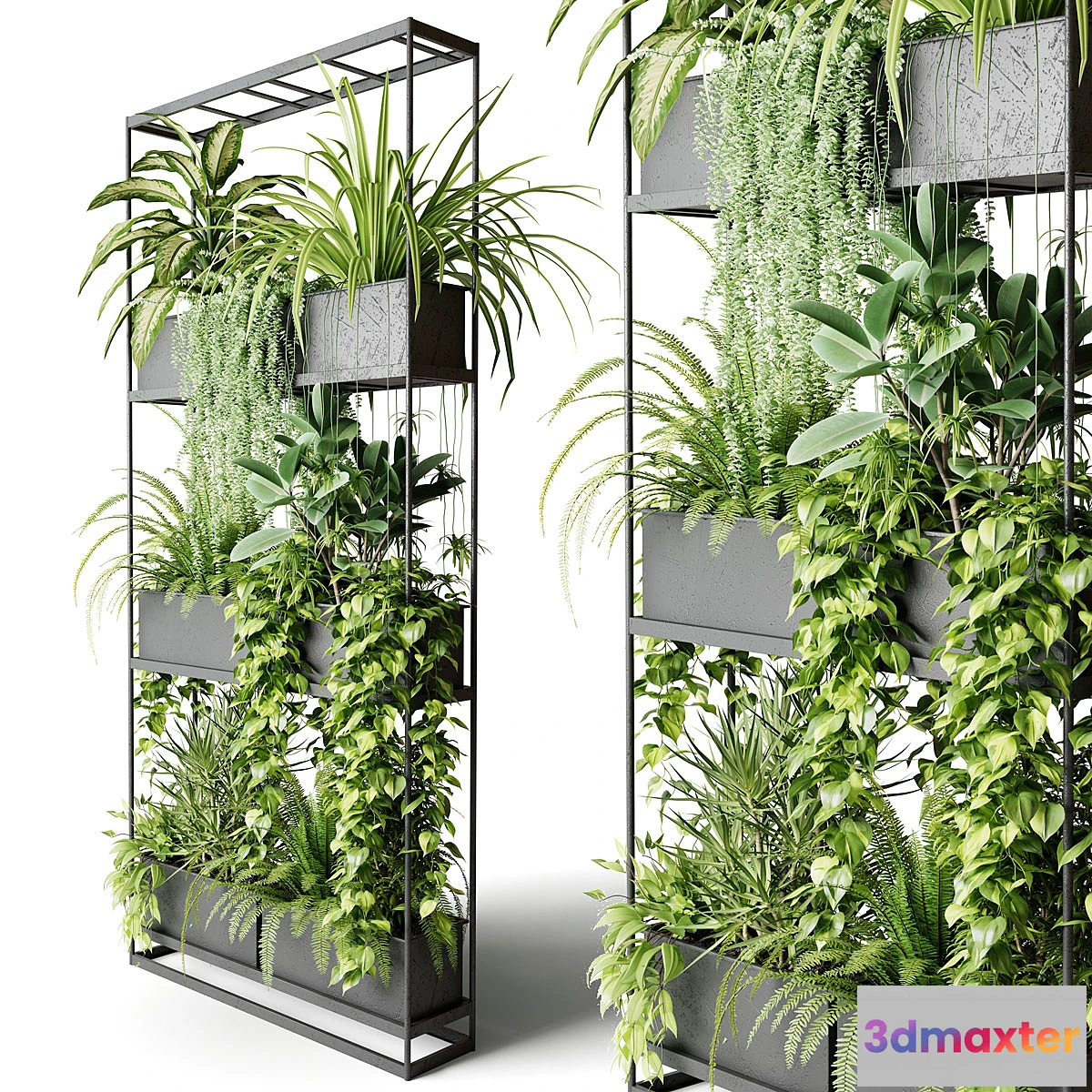 687790 - Wide metal rack with indoor plants