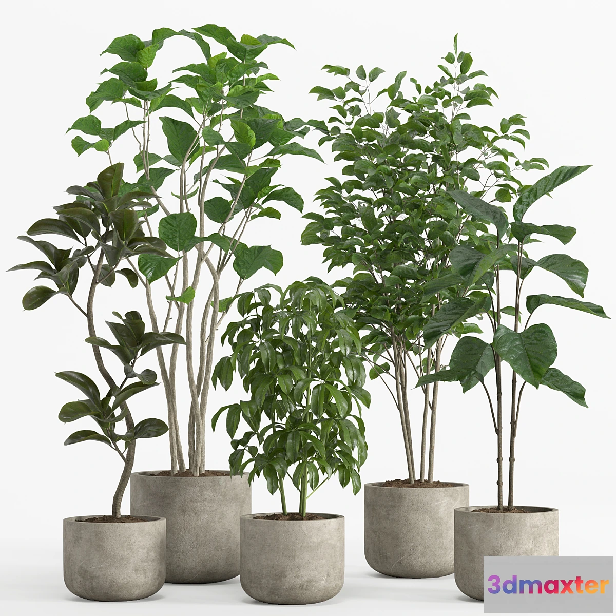 687802 - indoor plant set 017