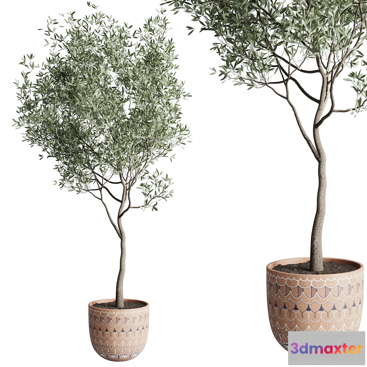 687822 - Olive tree in a patterned clay vase 199 - No.2