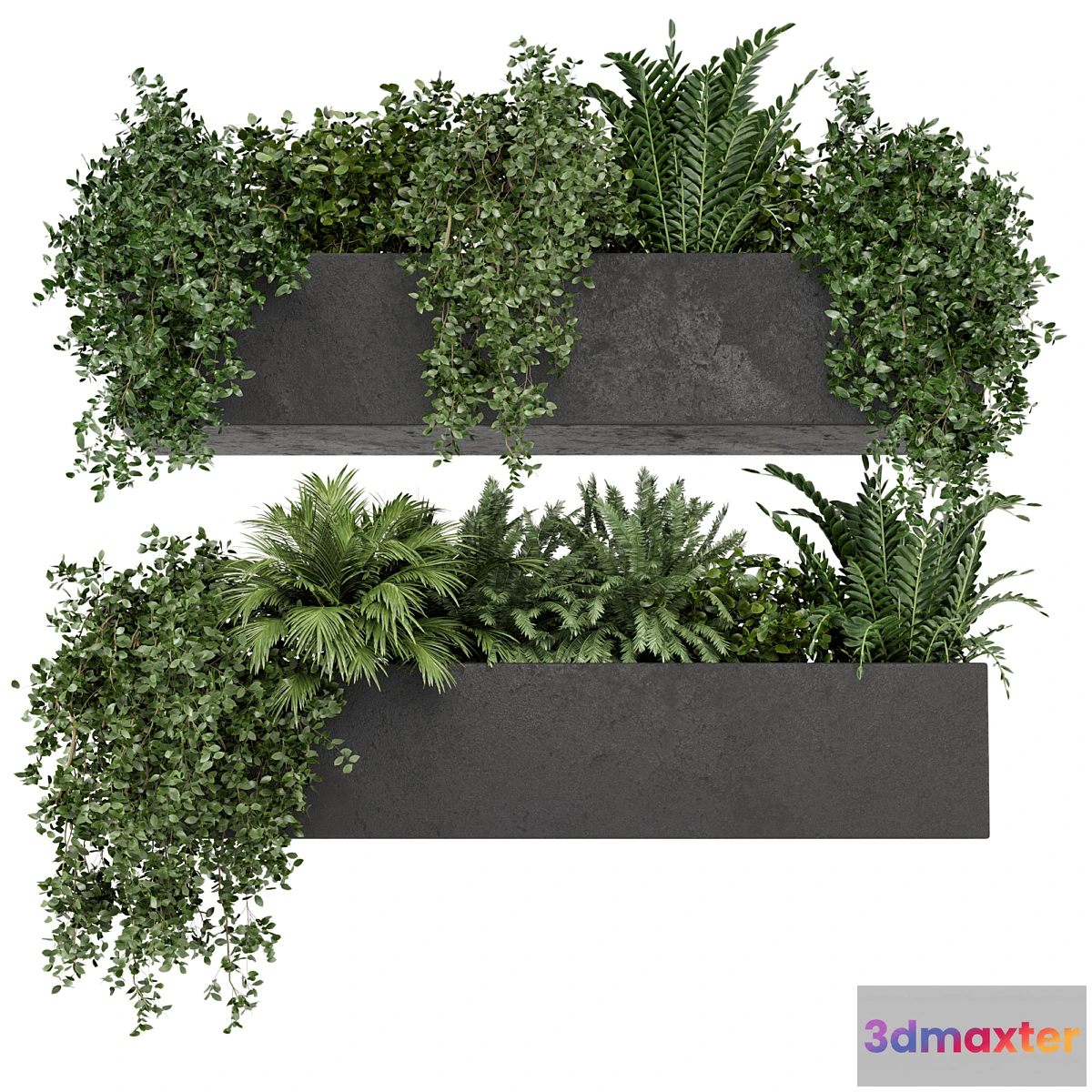 687834 - Hanging Plants in rusty Concrete Pot - Set 589