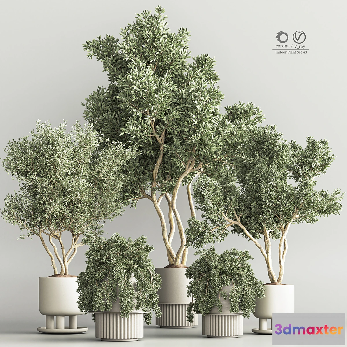 687836 - Indoor Plant Set 48