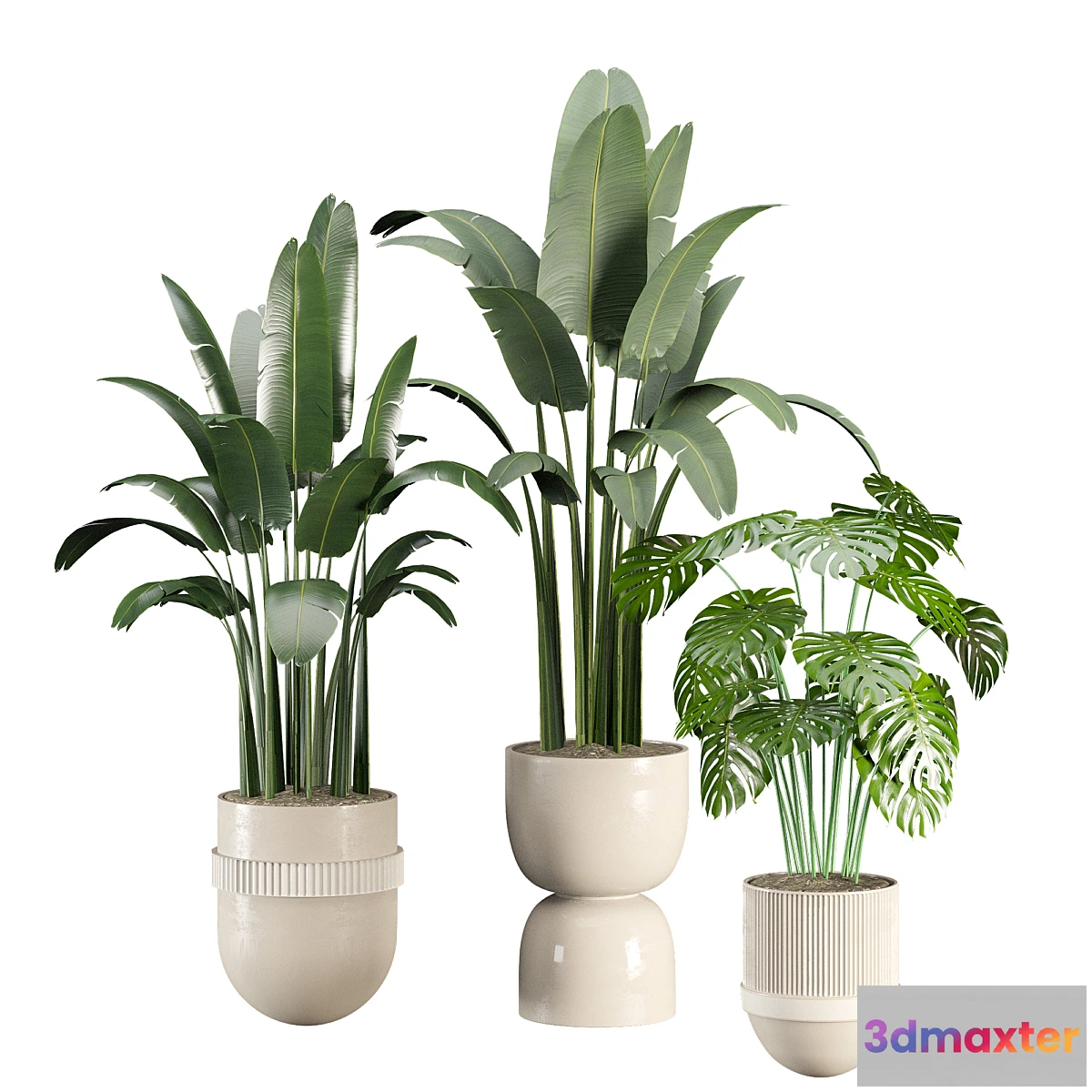 687880 - indoor-plant-set