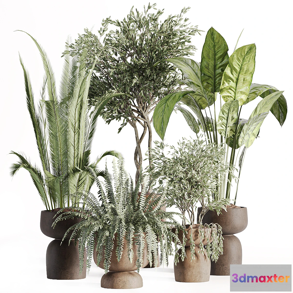 687888 - indoor plants in vase 002