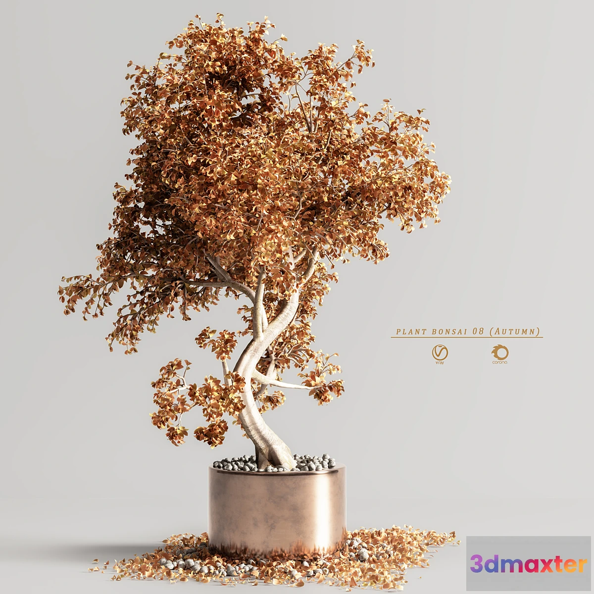 687906 - plant bonsai 08 (Autumn)