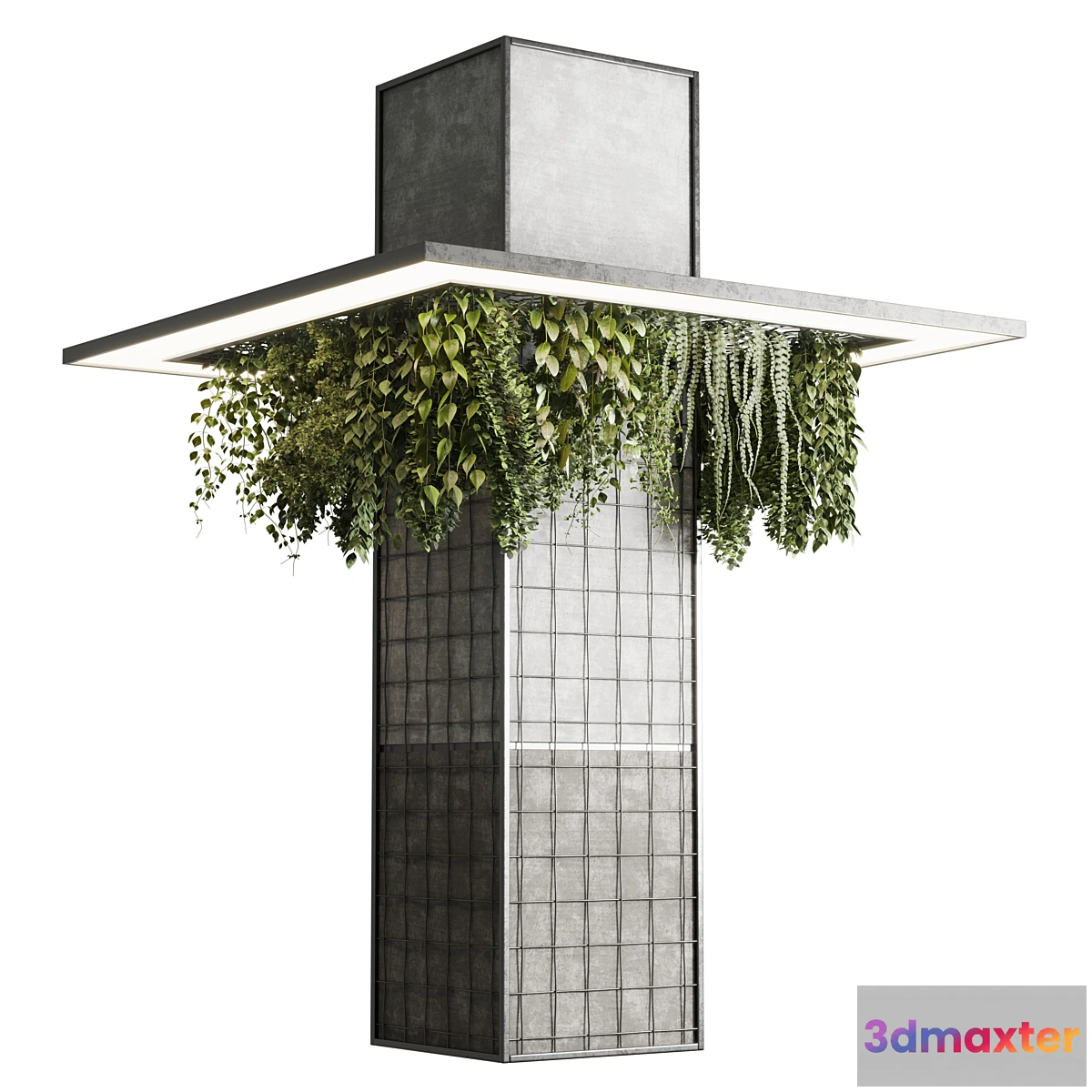 687908 - Column plant - pillar plant 05