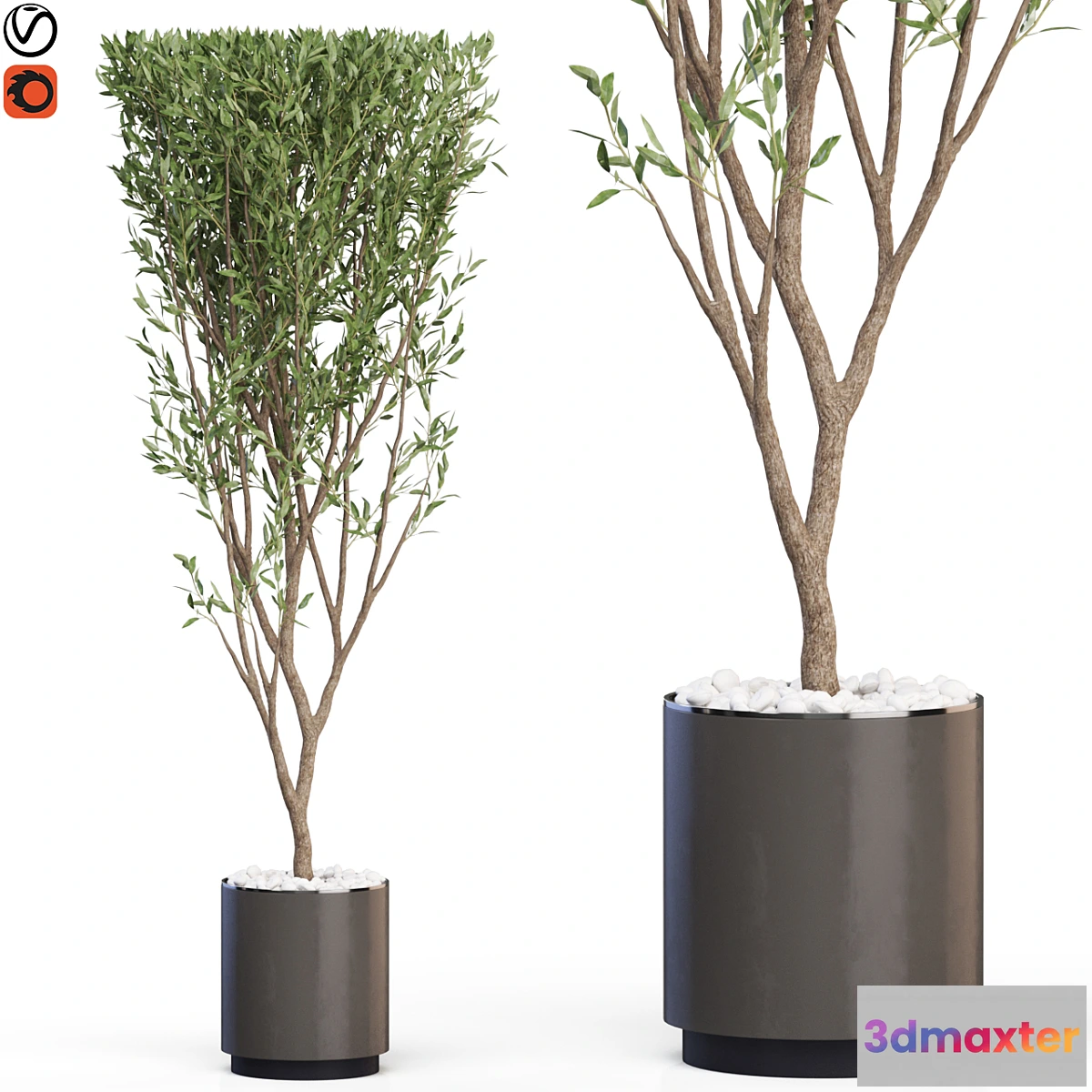 687912 - Plants collection 624