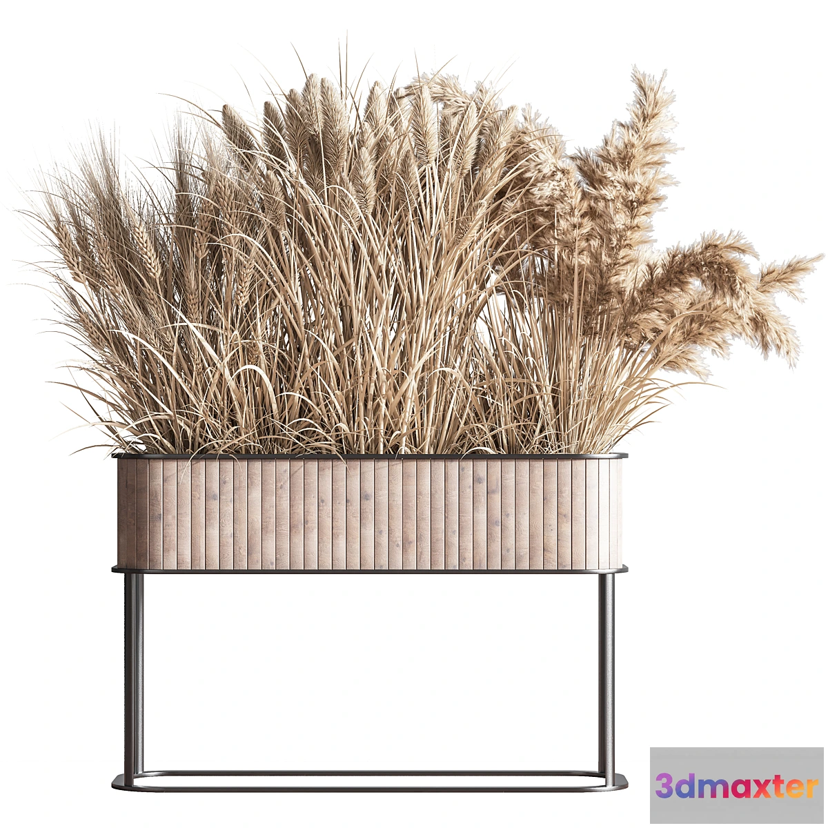 687926 - Indoor_Plant_Set_76(Dry_flowers_)