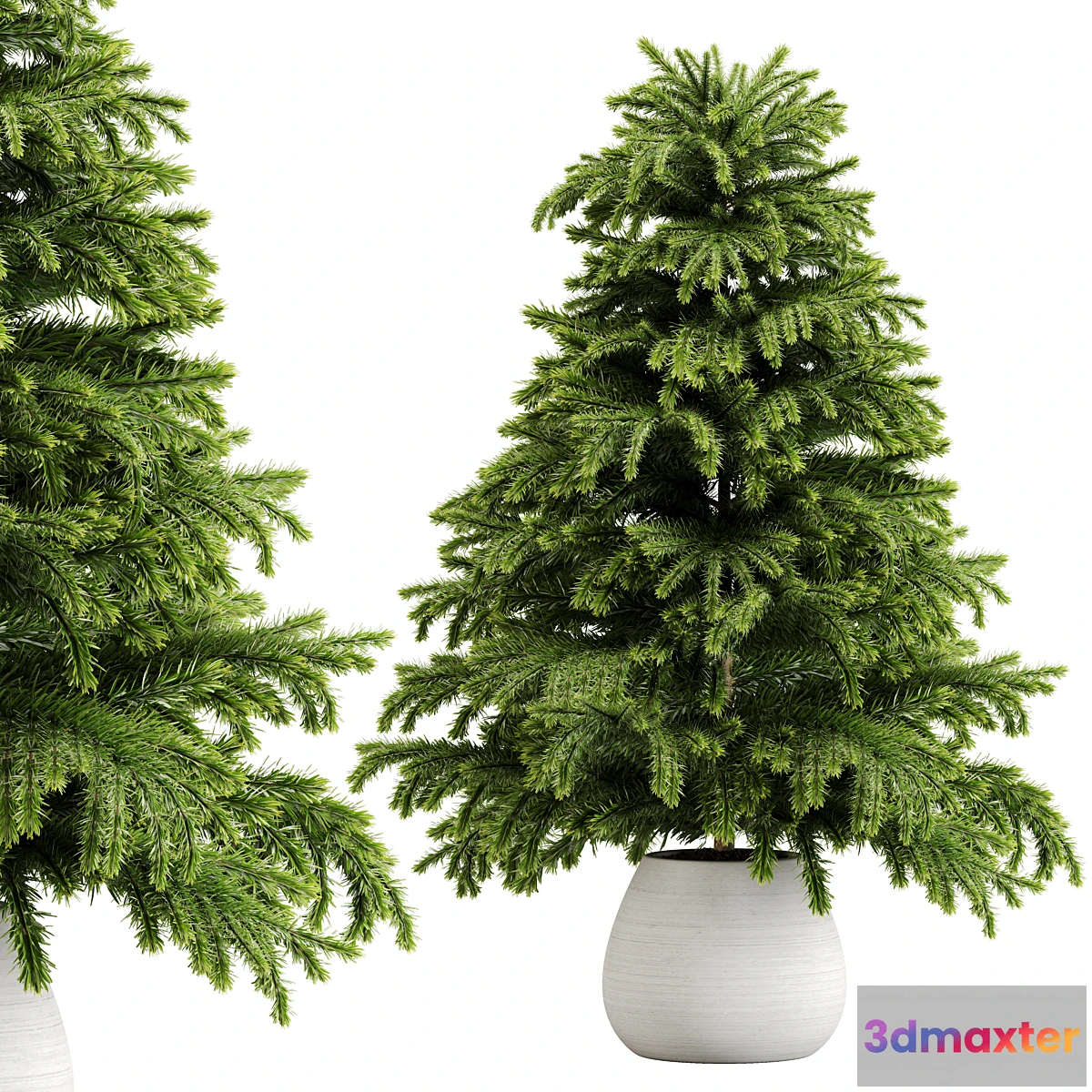 687950 - indoor plant Set 18