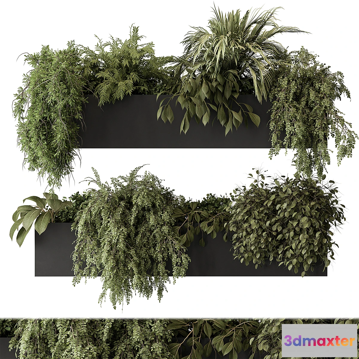 687956 - indoor Plant Set 297 - Hanging Plants - No.2