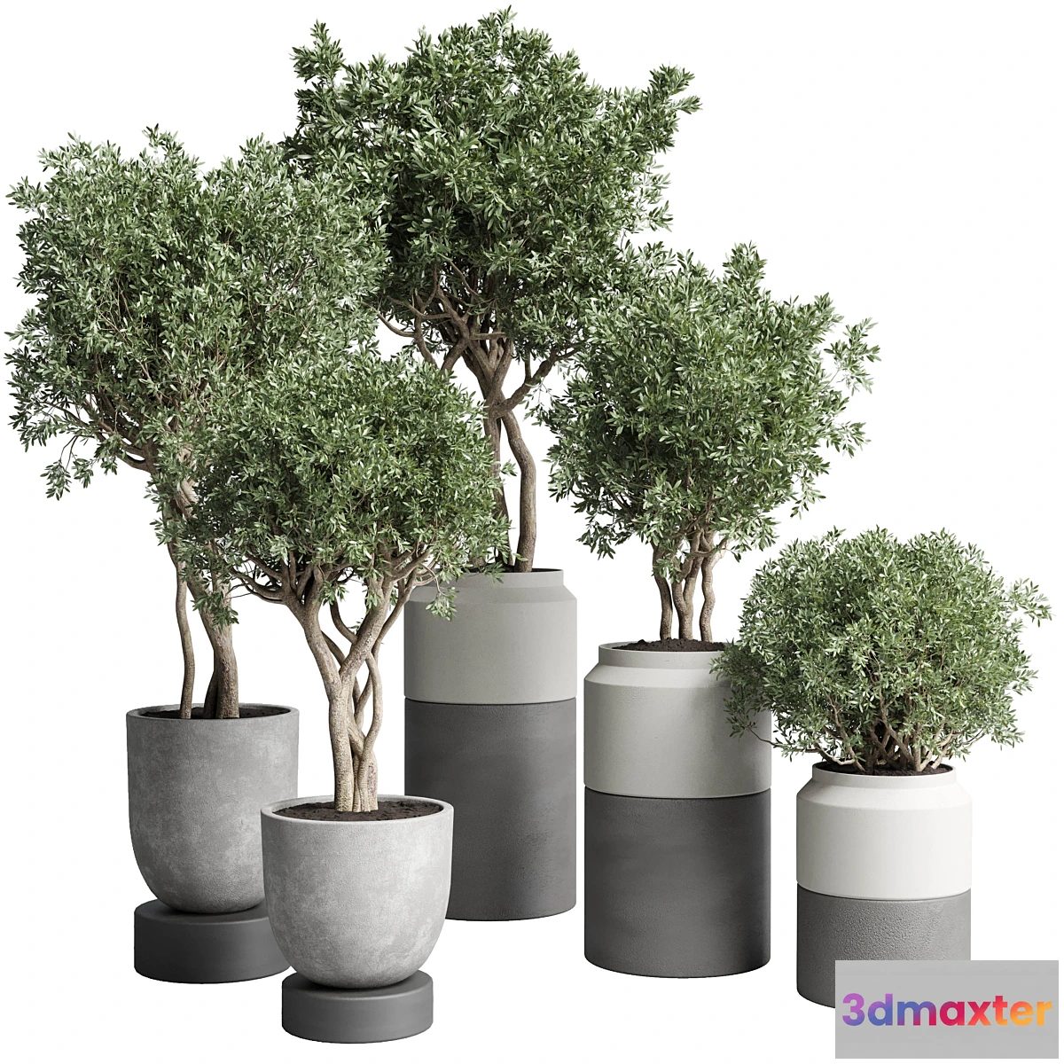 687976 - Collection Indoor plant 189 concrete dirt vase pot Tree
