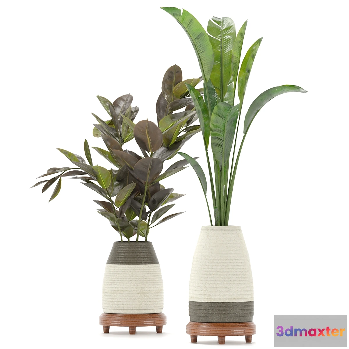687986 - Collection Indoor Plants Set Nim01