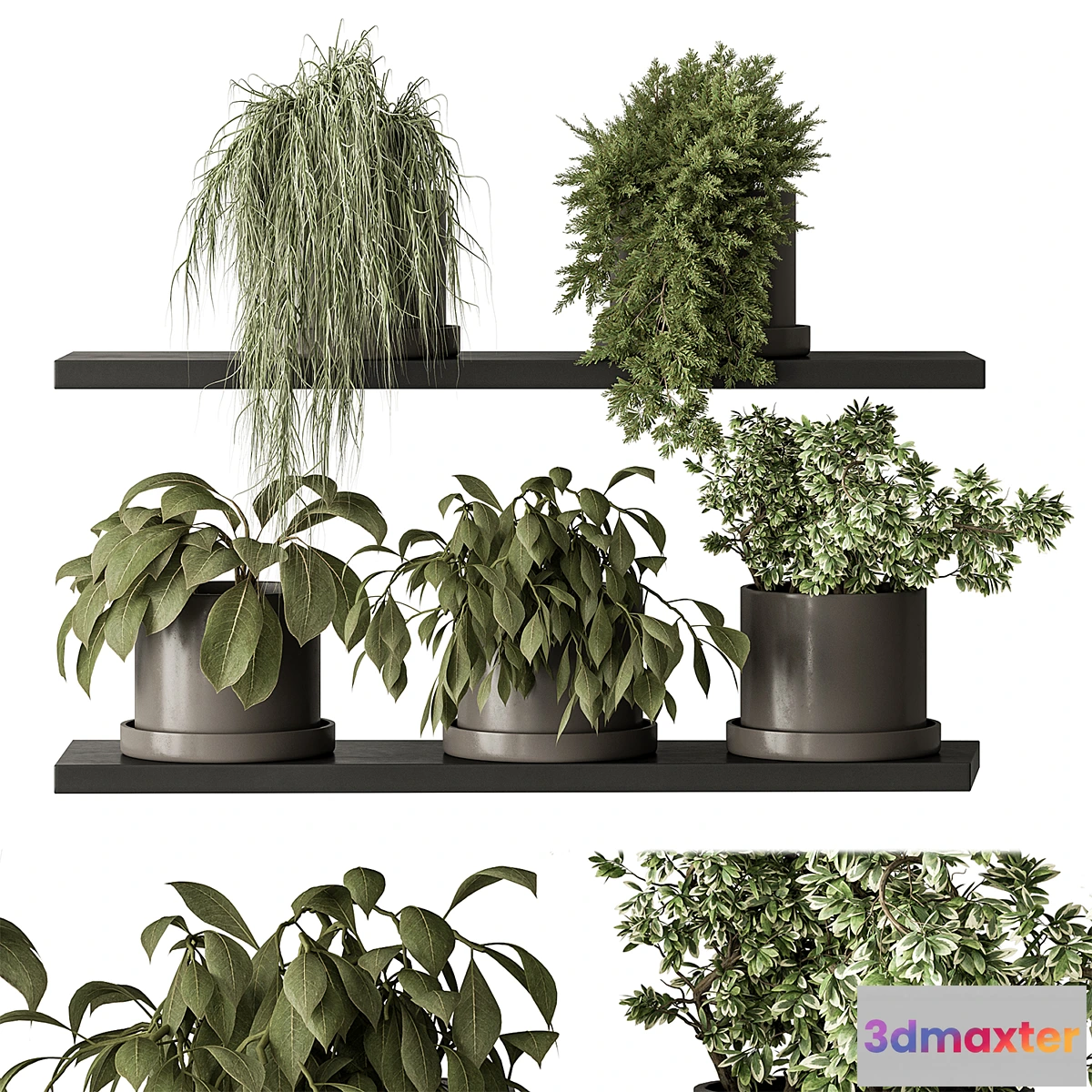 687988 - indoor Plant 466 - Small Plant pot