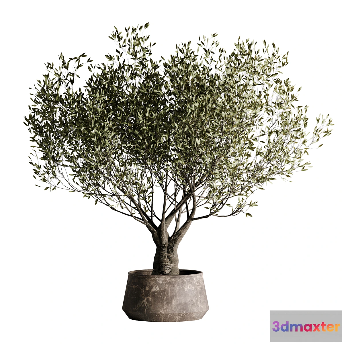 687996 - indoor plant set 09