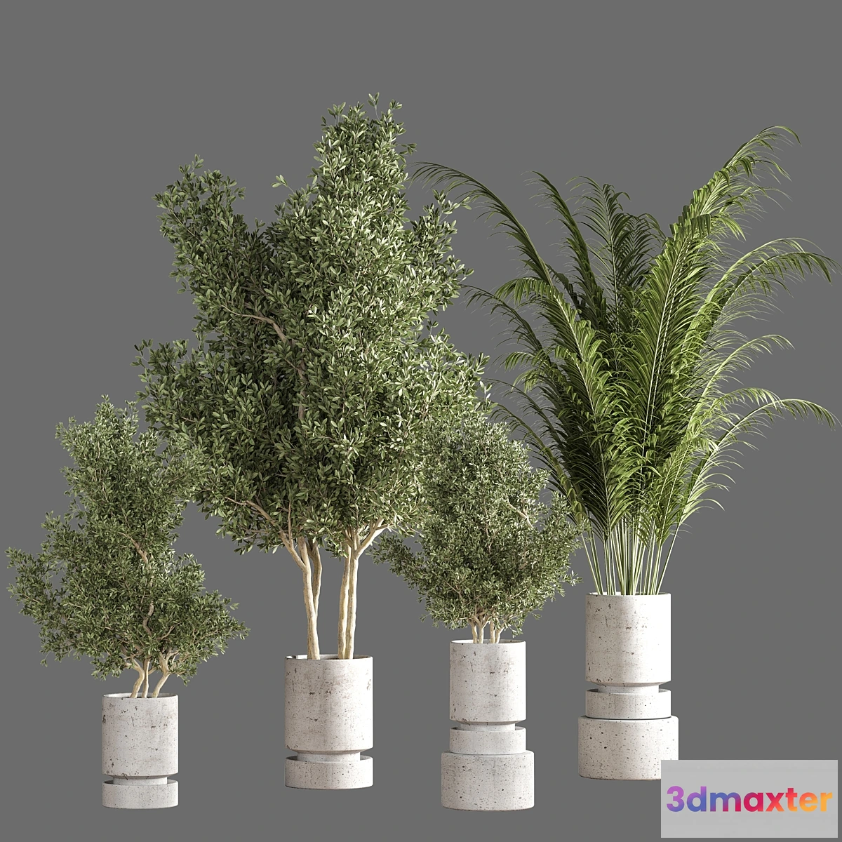 688018 - indoor plant set 19
