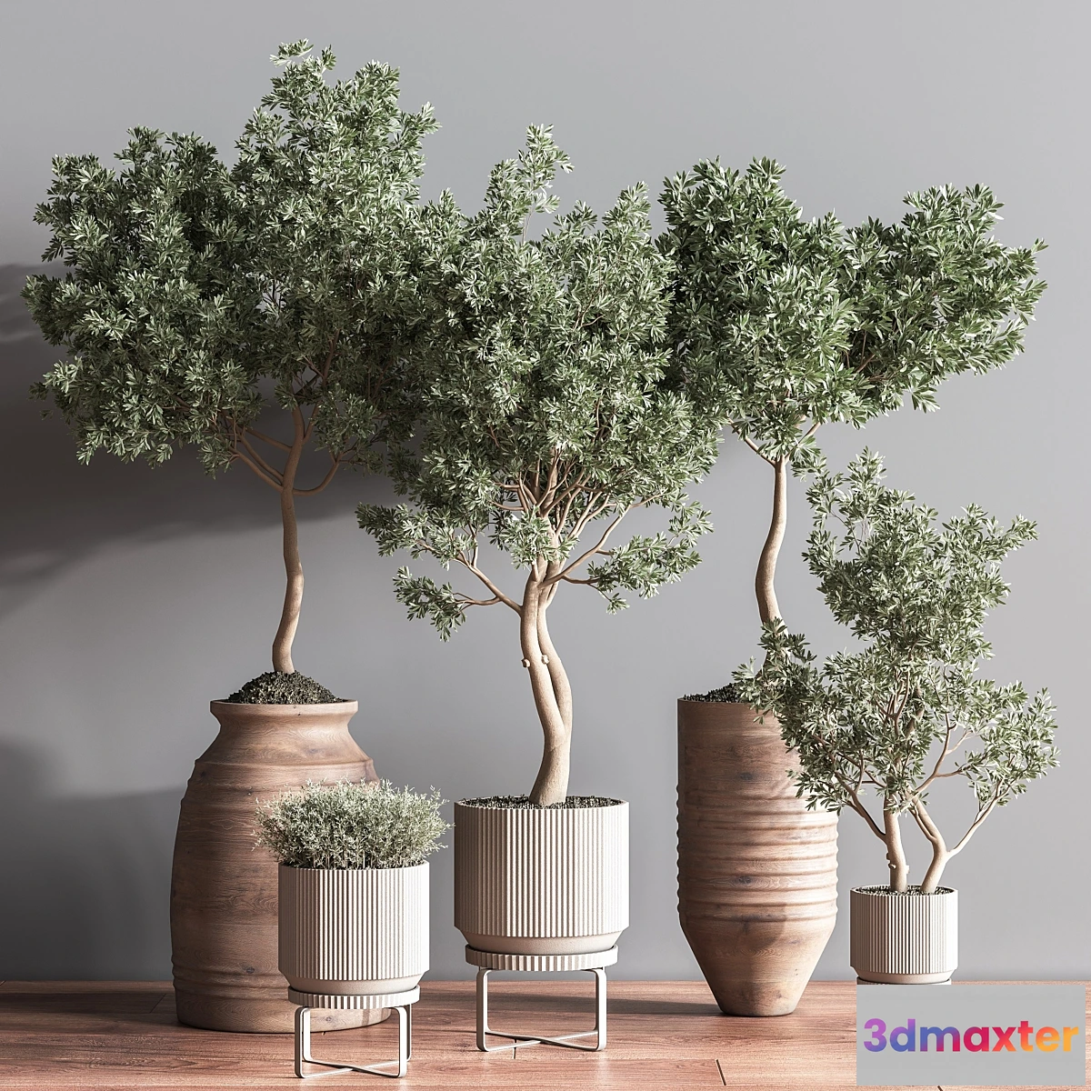 688022 - Indoor Plant Set11