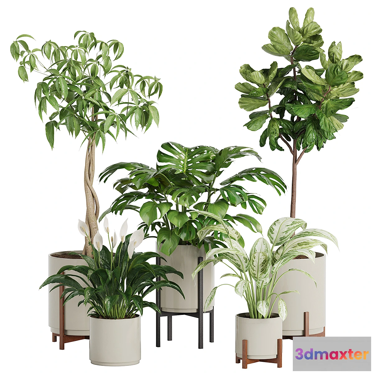 688040 - plant in pots_set 03