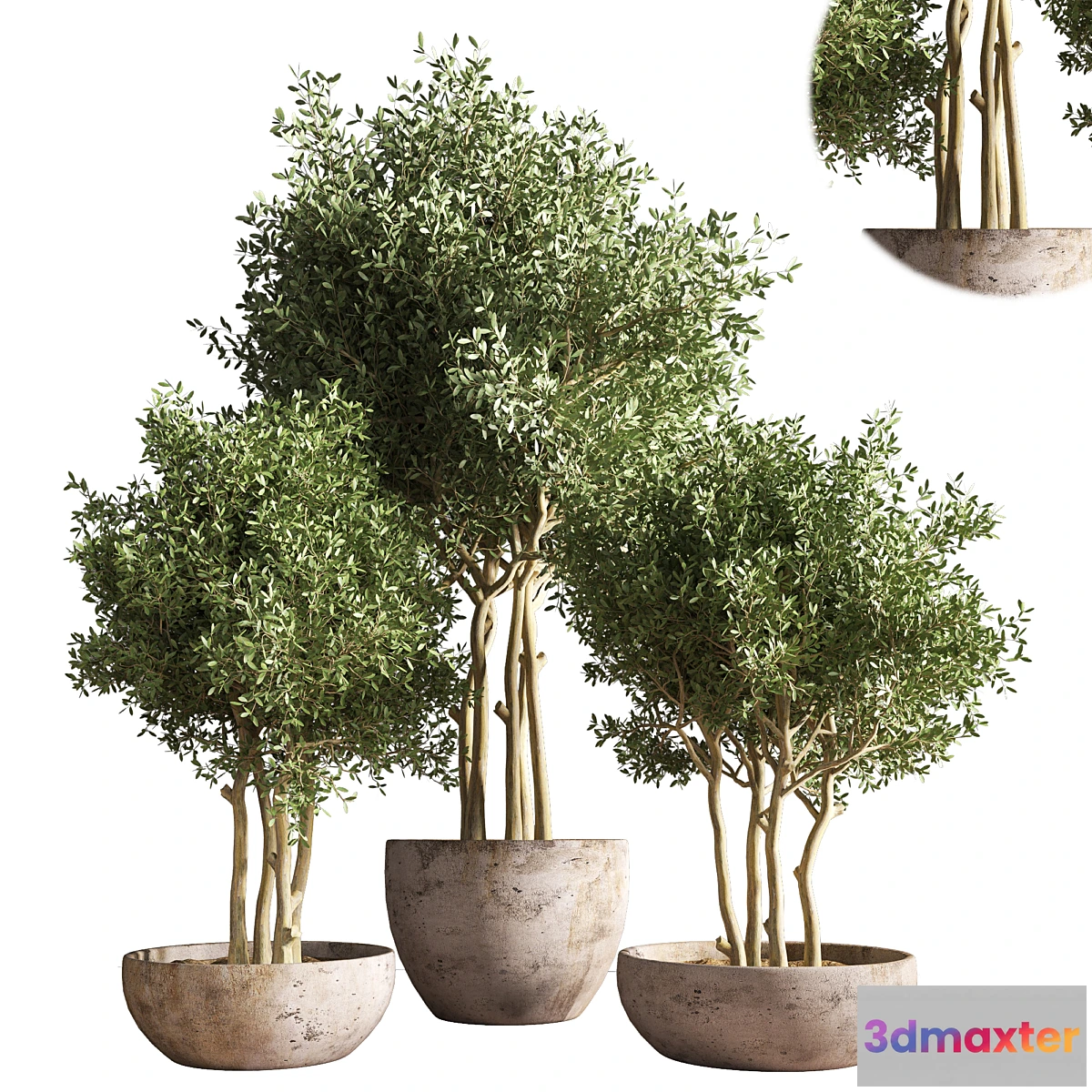 688096 - indoor plant stand 19