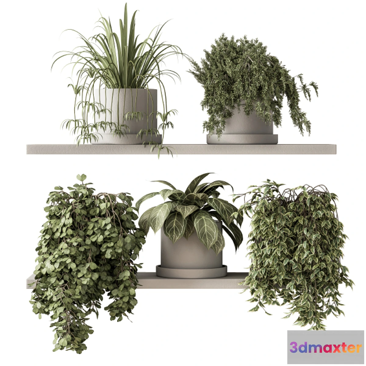 688102 - indoor Plant Set 281 - Plant pot on shelves
