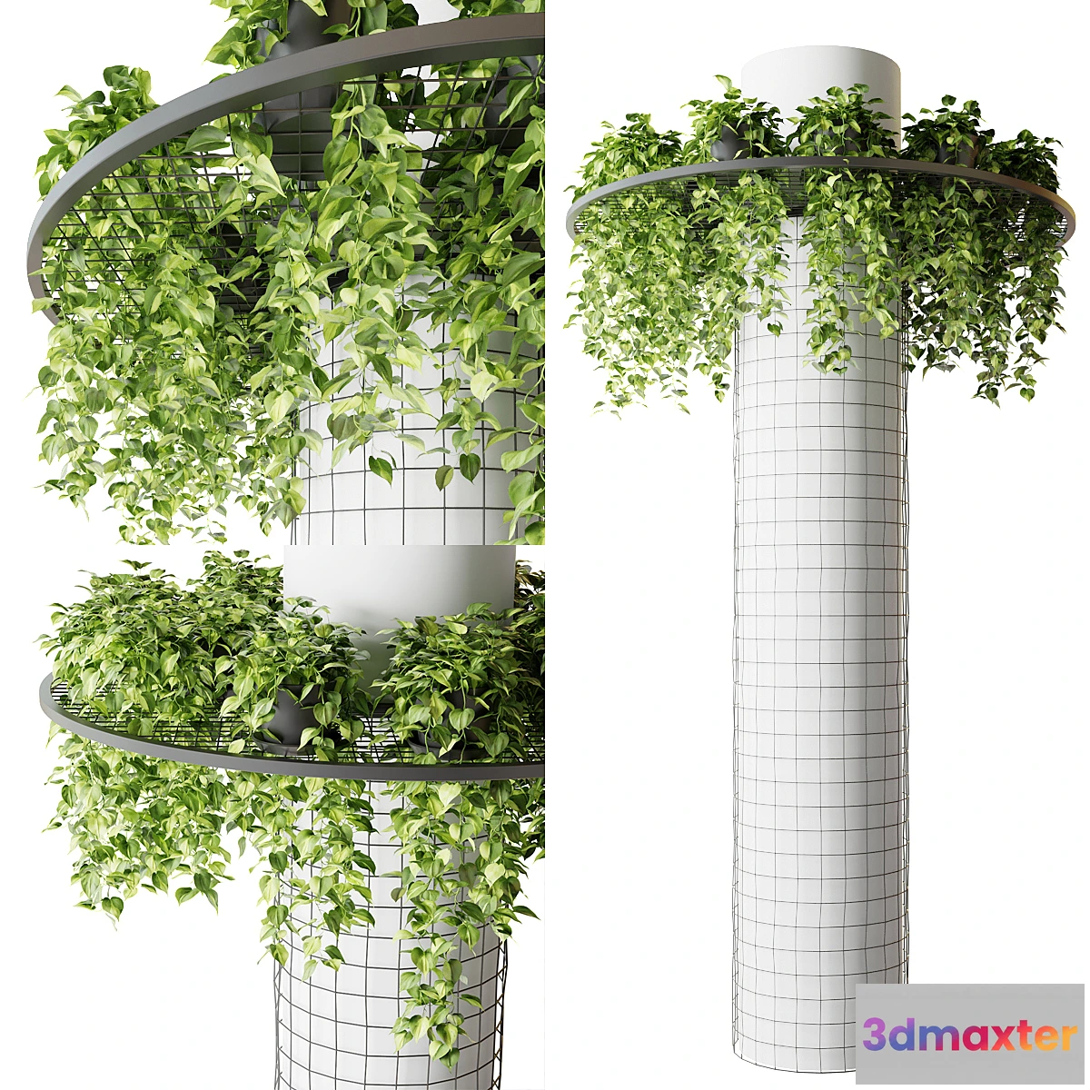 688112 - Column with hanging plants (epipremnum)
