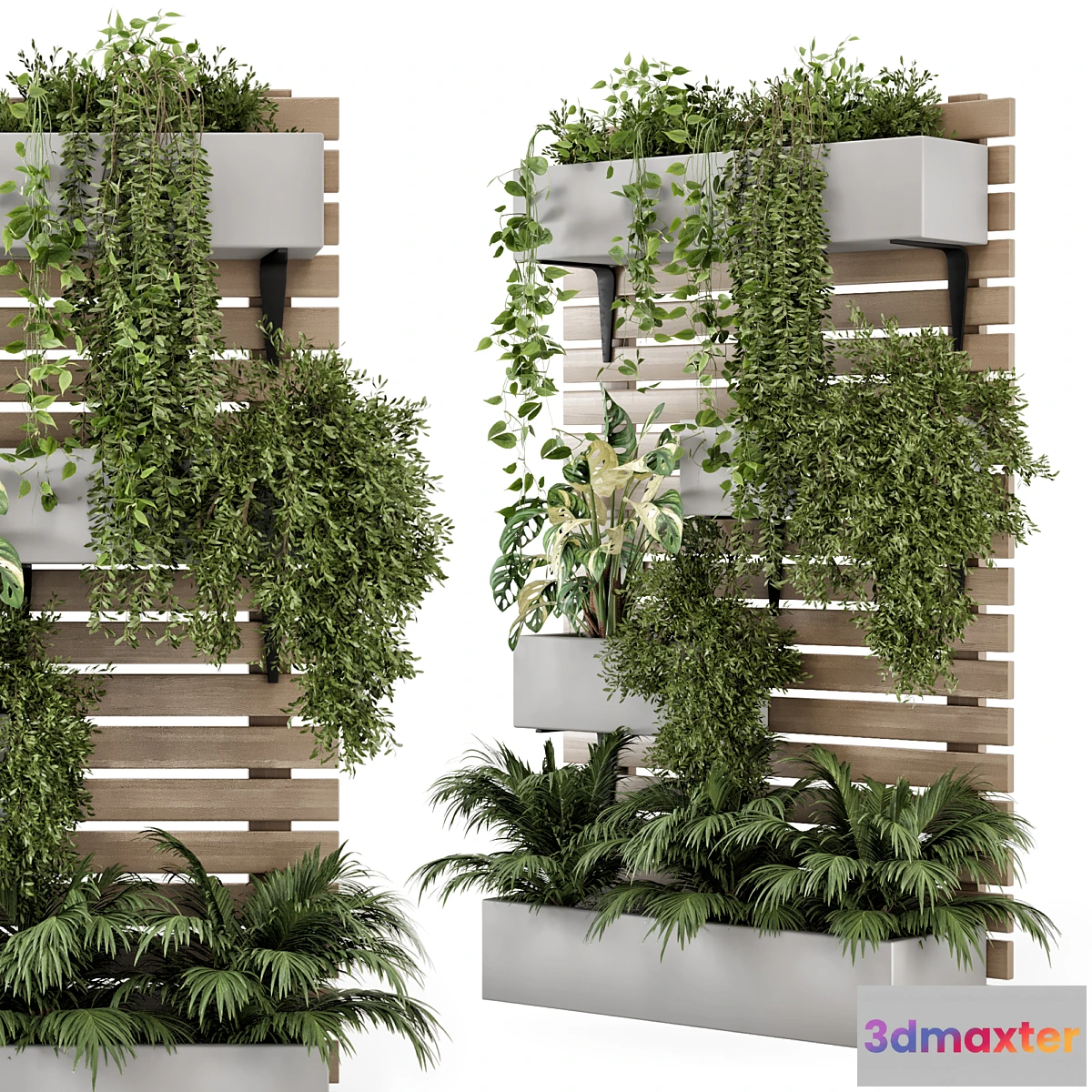 688128 - Indoor Hanging Plants in Metal Stand - Set 1131