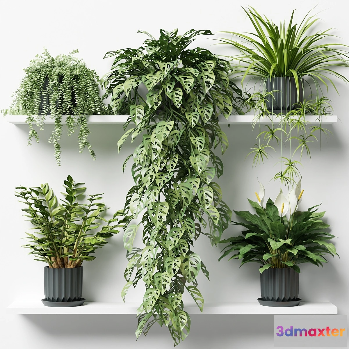 688136 - Plants on a shelf in ribbed pots