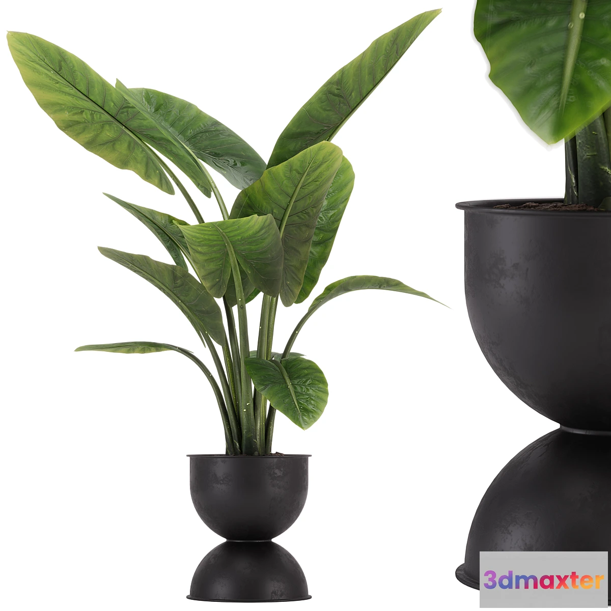 688148 - indoor plant set 36