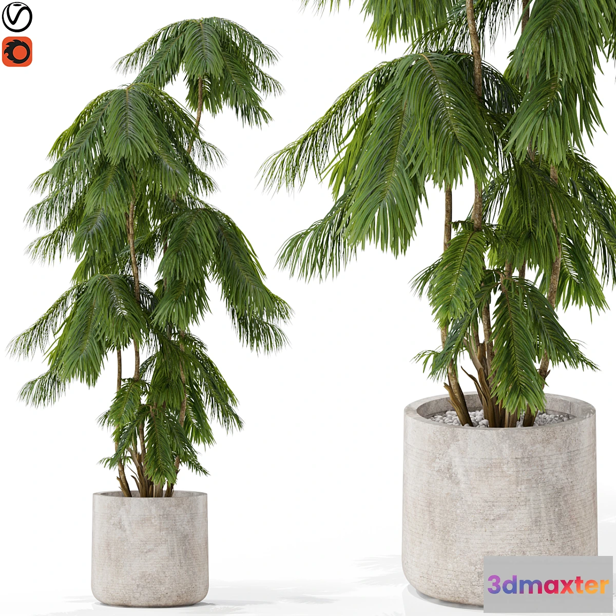 688160 - Plants collection 573