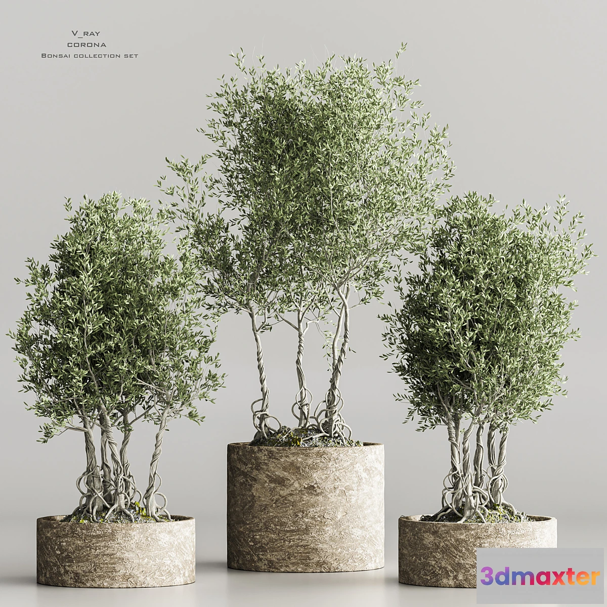 688174 - indoor_plant collection set vol 71