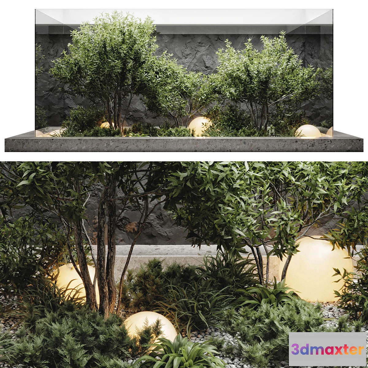 688184 - plants behind glass - No.2