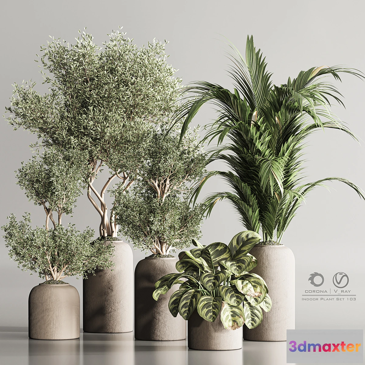 688216 - Indoor Plant Set 103