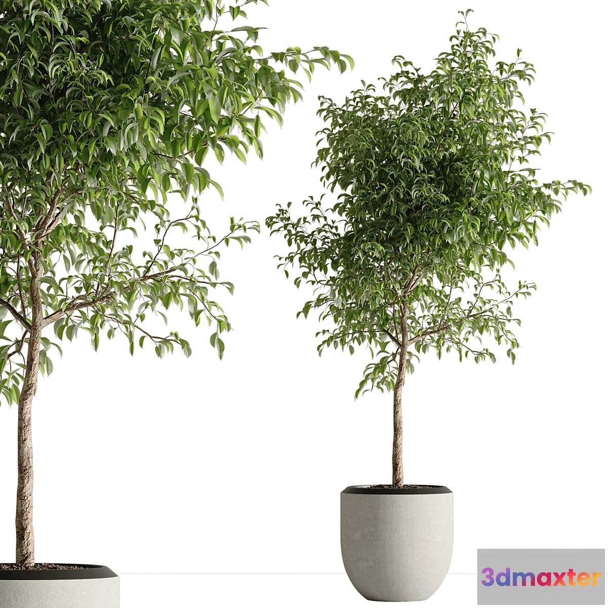 688222 - indoor plant set 42