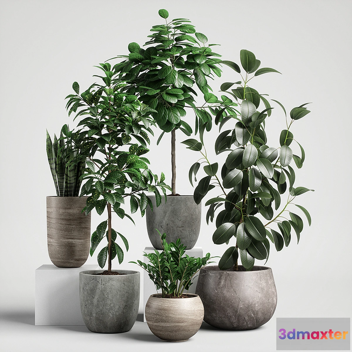 713774 - plants set 10 - No.2