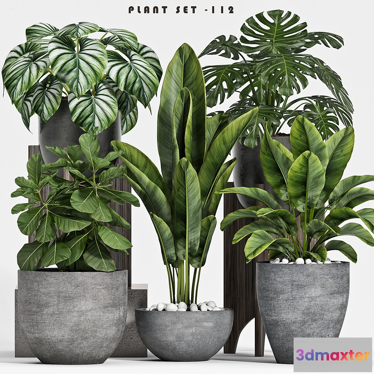 713780 - plant set-112 - No.2