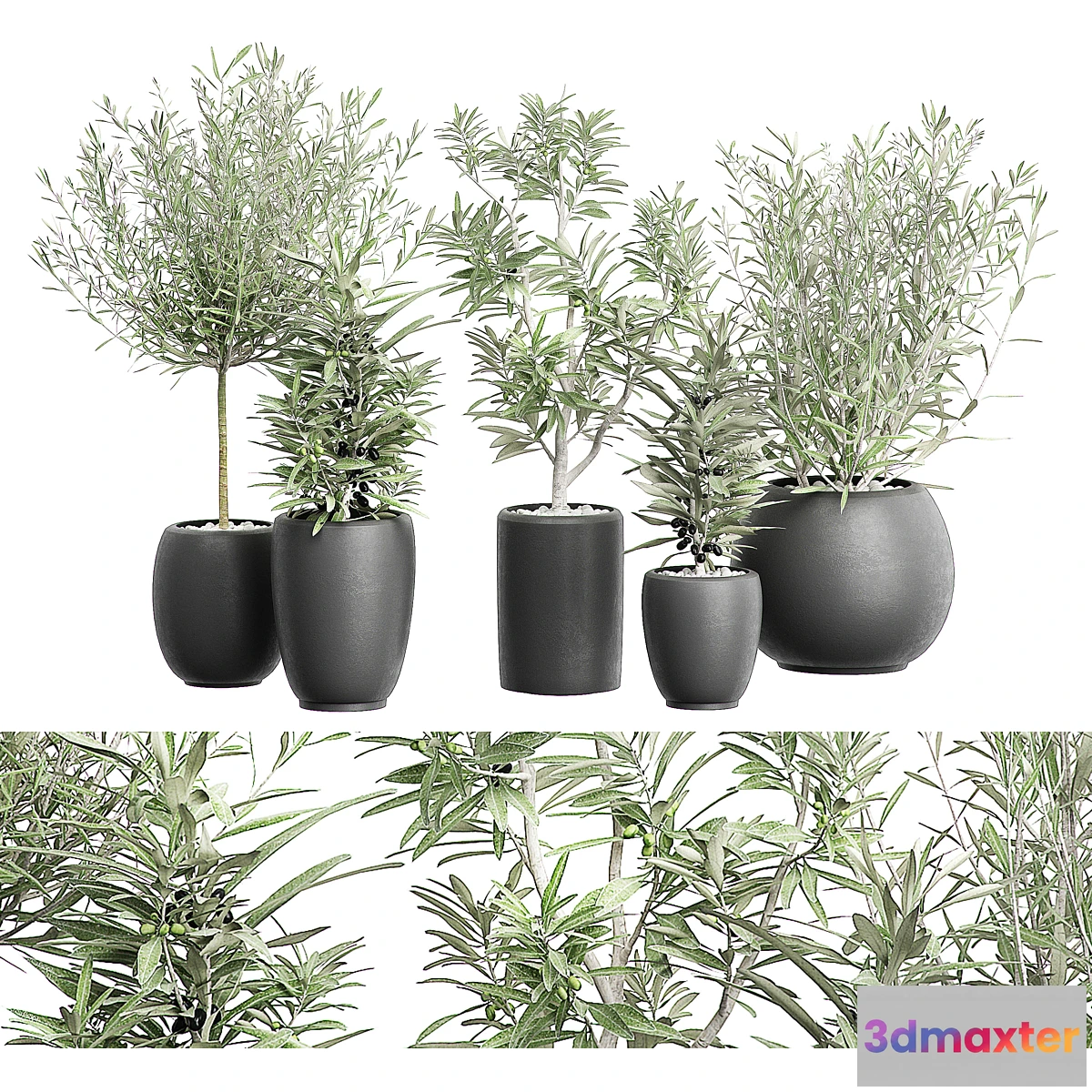 713788 - FLOWER PACK 121 - No.2