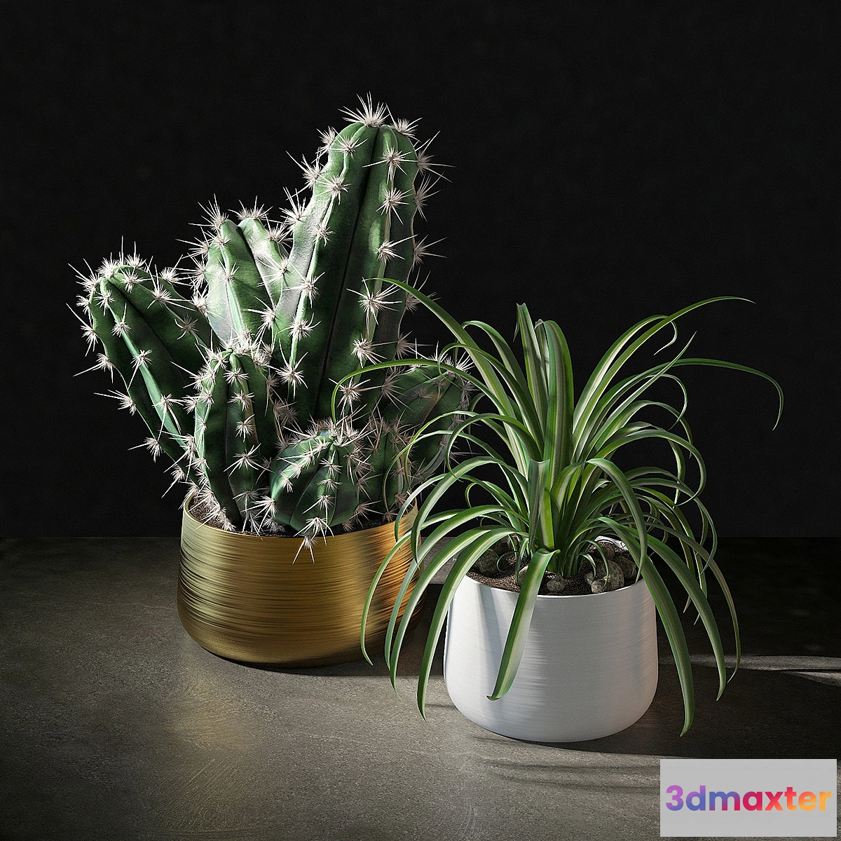 713810 - Set of plants 02 - No.2