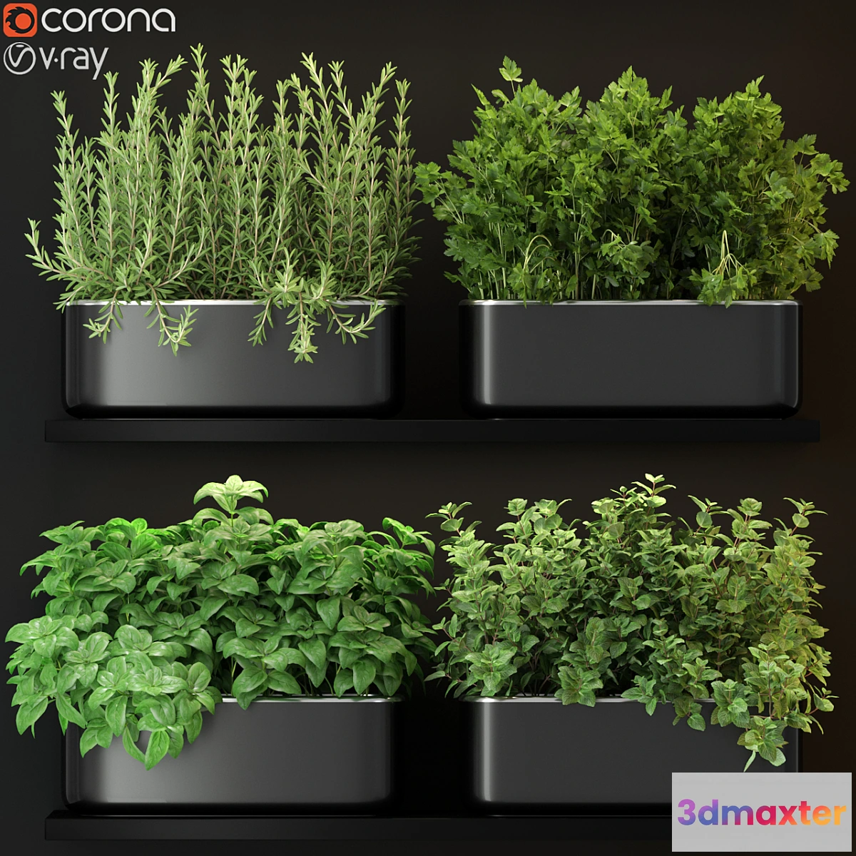 713864 - Plants collection 262 - No.2