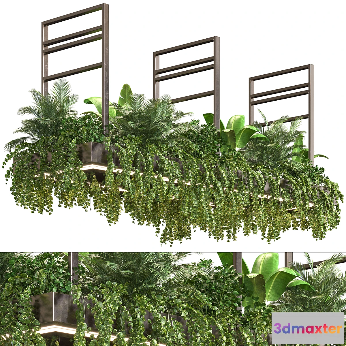 713874 - Indoor Plant Vol2 - hanging pot Vol2 - No.2