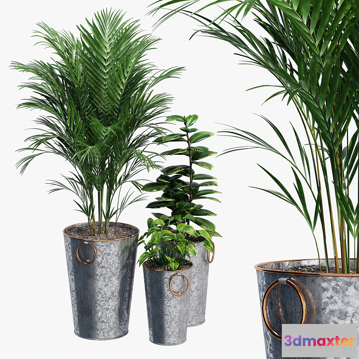 713912 - Lillian - No.2