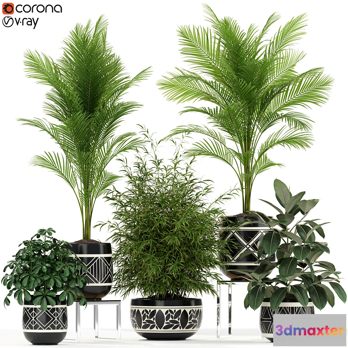 713936 - Plants collection 181 - No.2
