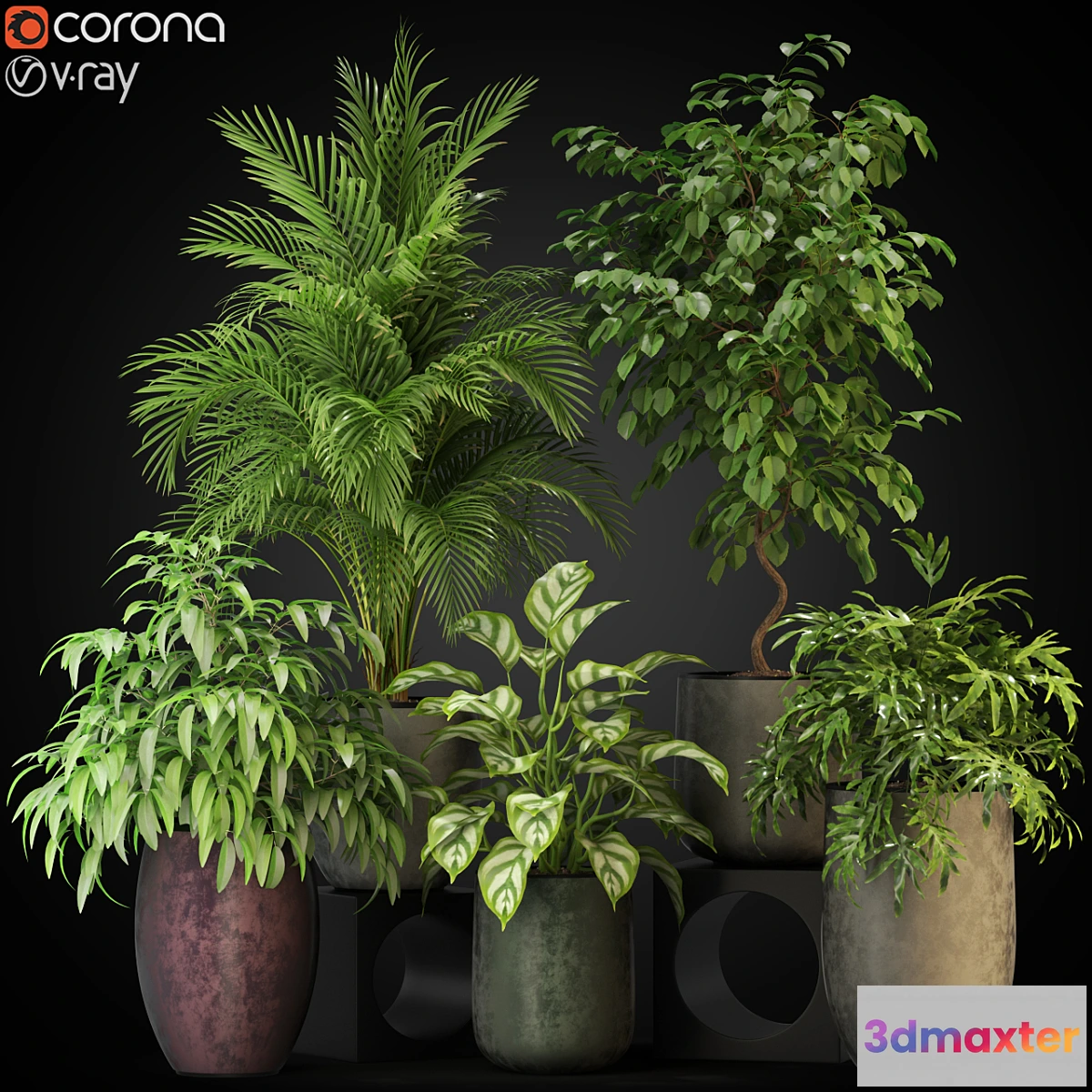 713942 - Plants collection 269 - No.2