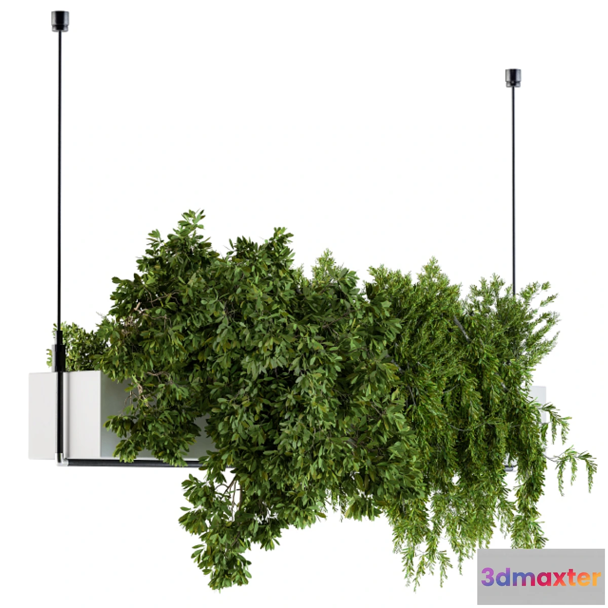 713952 - Hanging box plant - Set 70 - No.2